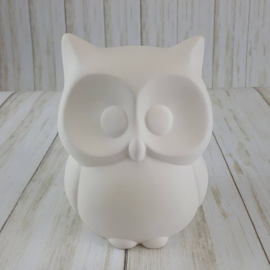 Medium Cute Owl
